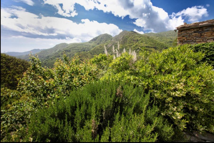 Casa Costa - Ruhe Und Natur Pur Carpasio Екстер'єр фото